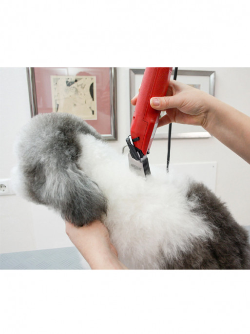 Tondeuse sur secteur Favorita Speed Aesculap