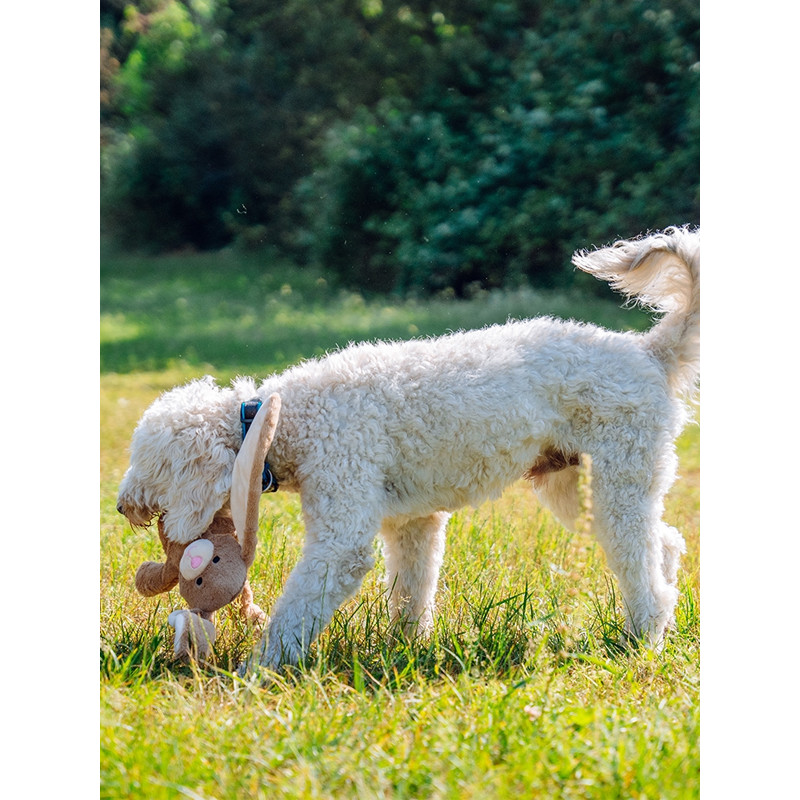 Jouet lapin avec corde 54cm Nobby