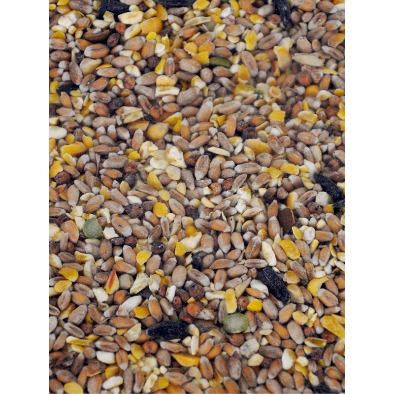 Mélange céréales pour poules 20kg Toc'N Roll