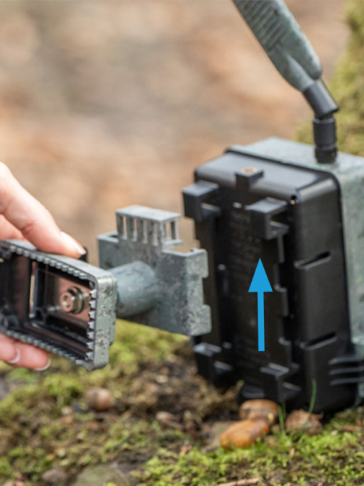 Sangles de fixation d'arbre x2 pour Secacam Zeiss