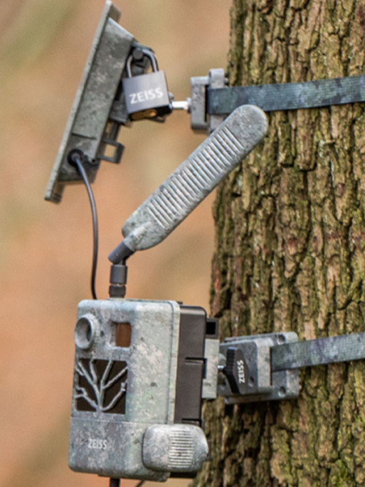 Sangles de fixation d'arbre x2 pour Secacam Zeiss