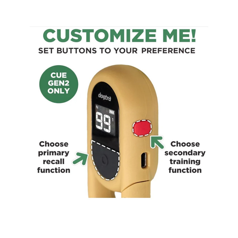 Collier de dressage iQ Flex Dogtra