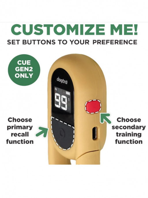 Collier de dressage iQ Flex Dogtra