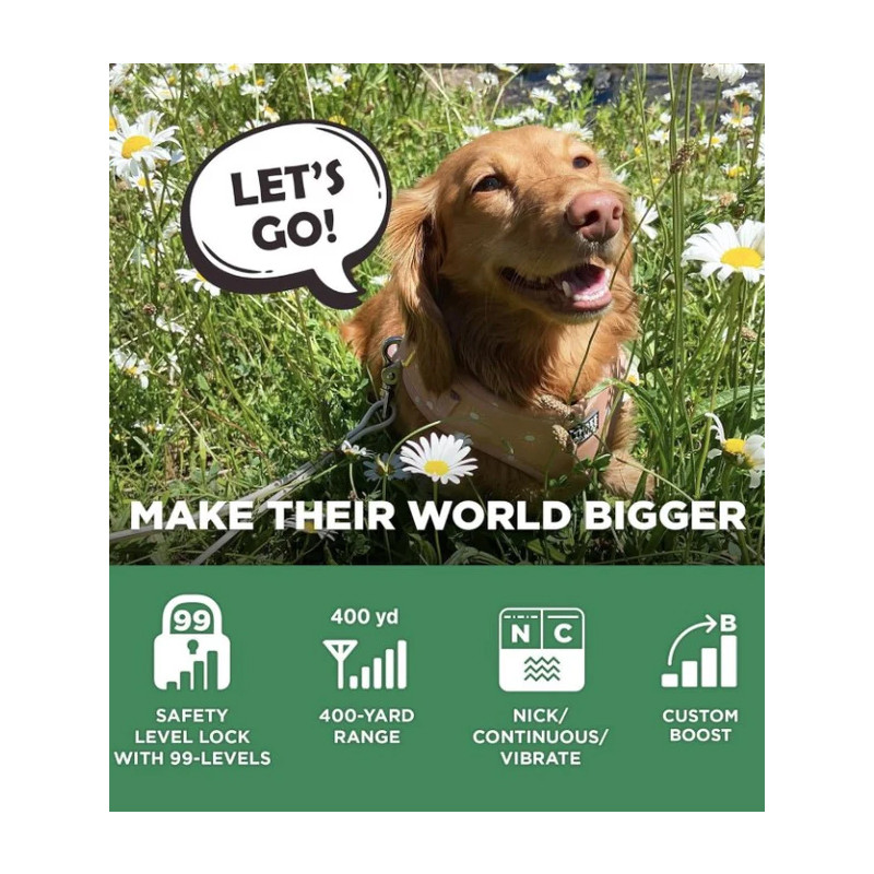 Collier de dressage iQ Flex Dogtra