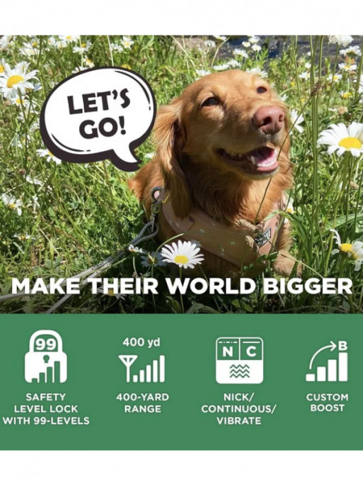 Collier de dressage iQ Flex Dogtra