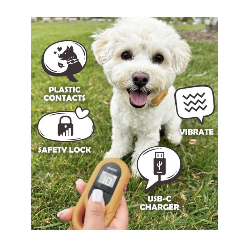 Collier de dressage iQ Flex Dogtra