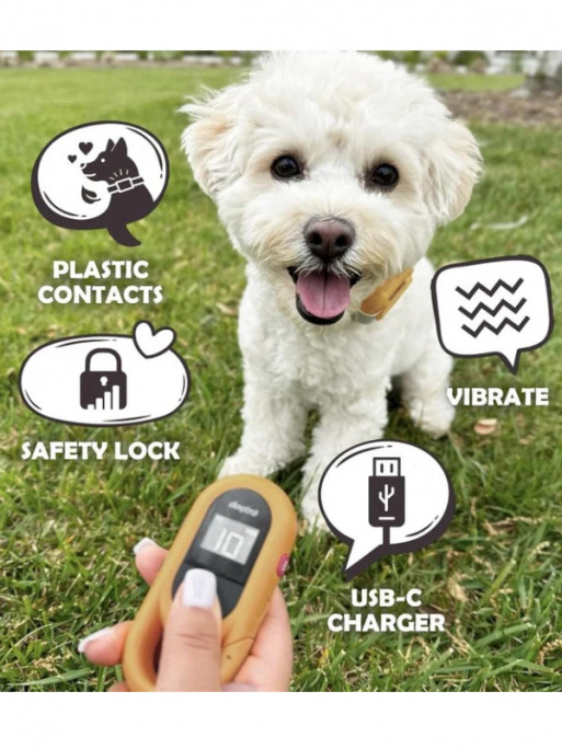 Collier de dressage iQ Flex Dogtra