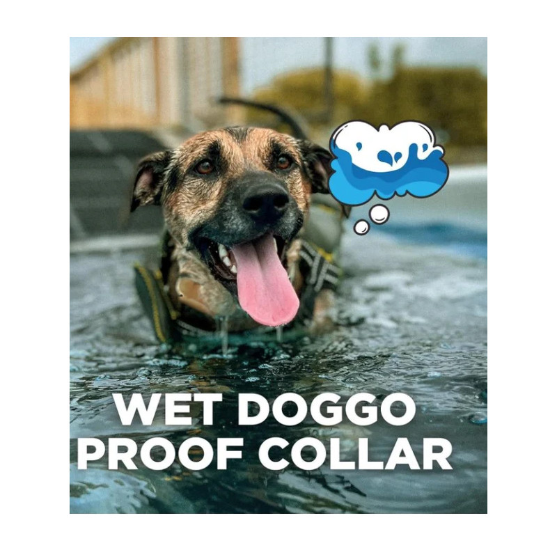 Collier de dressage iQ Flex Dogtra