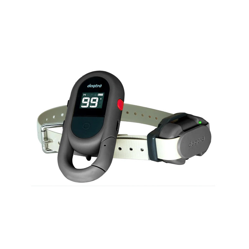 Collier de dressage iQ Flex Dogtra
