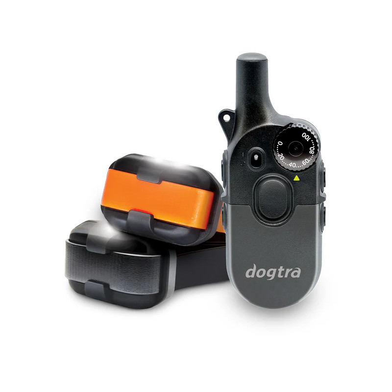 Pack de dressage 2 chiens 600iQ Dogtra