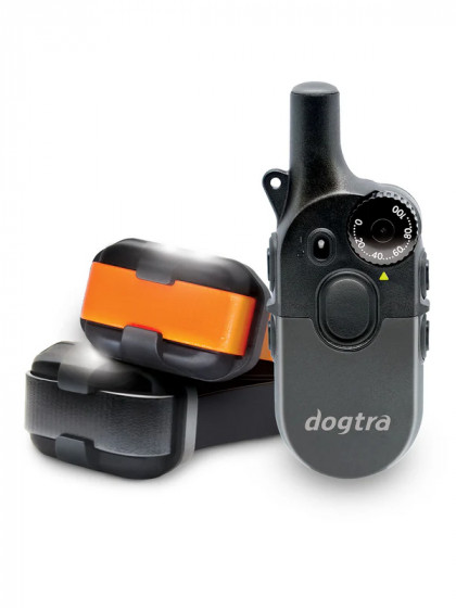 Pack de dressage 2 chiens 600iQ Dogtra