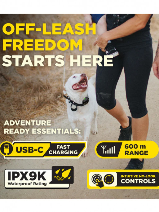 Pack de dressage 2 chiens 600iQ Dogtra