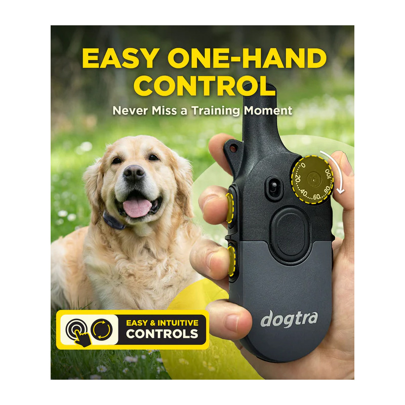 Pack de dressage 2 chiens 600iQ Dogtra