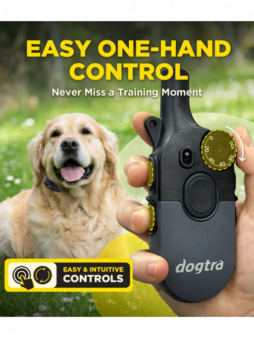 Pack de dressage 2 chiens 600iQ Dogtra