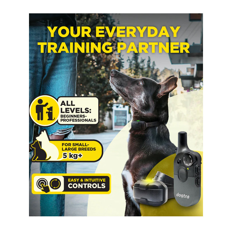 Pack de dressage 2 chiens 600iQ Dogtra