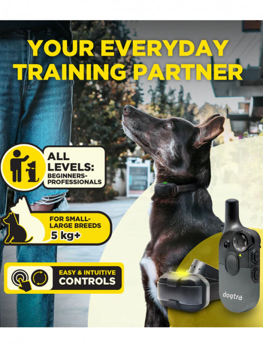 Pack de dressage 2 chiens 600iQ Dogtra