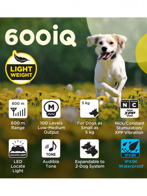 Pack de dressage 2 chiens 600iQ Dogtra