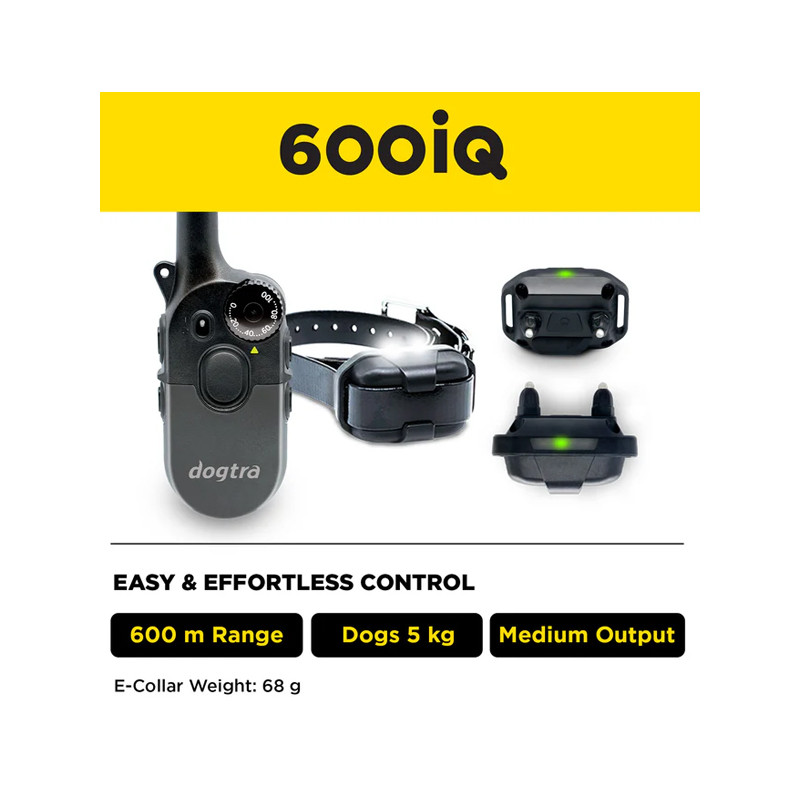 Pack de dressage 2 chiens 600iQ Dogtra