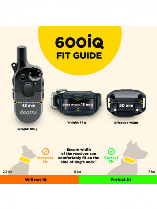 Pack de dressage 2 chiens 600iQ Dogtra