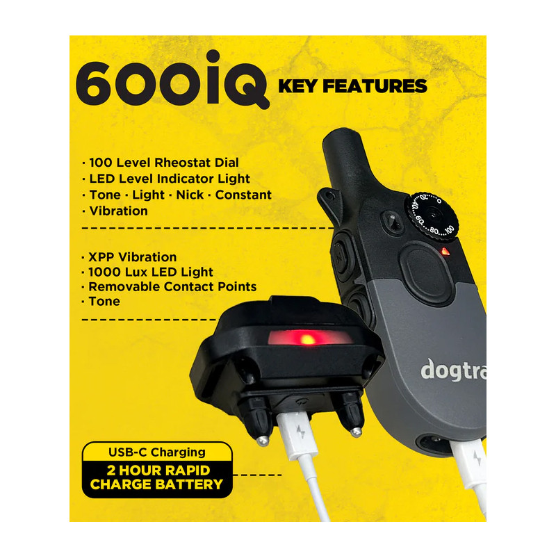 Pack de dressage 2 chiens 600iQ Dogtra