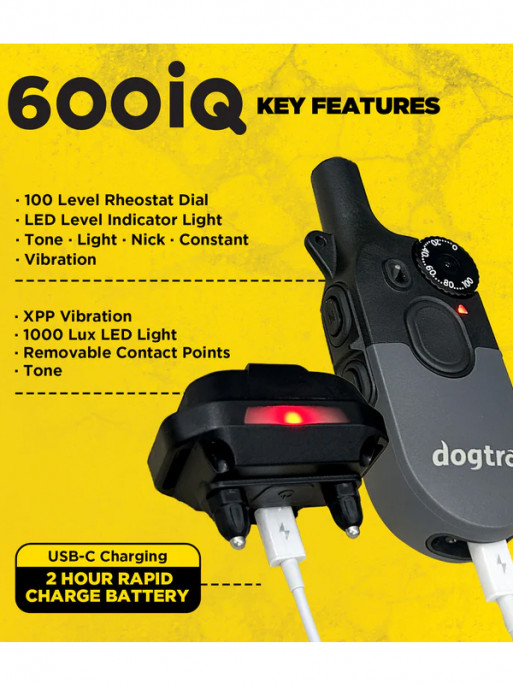 Pack de dressage 2 chiens 600iQ Dogtra