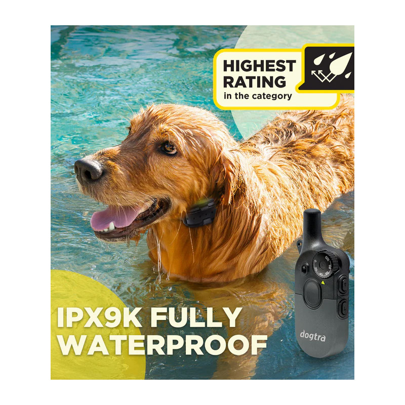 Pack de dressage 2 chiens 600iQ Dogtra