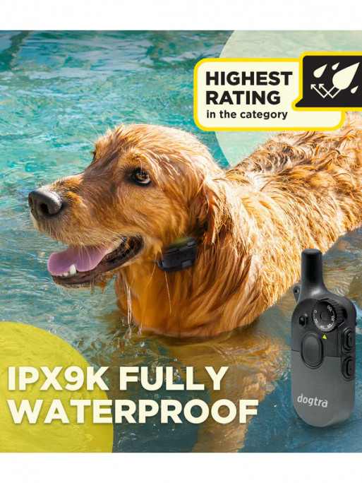 Pack de dressage 2 chiens 600iQ Dogtra