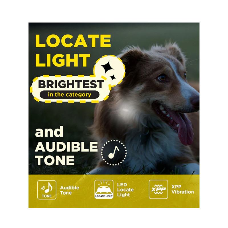 Pack de dressage 2 chiens 600iQ Dogtra