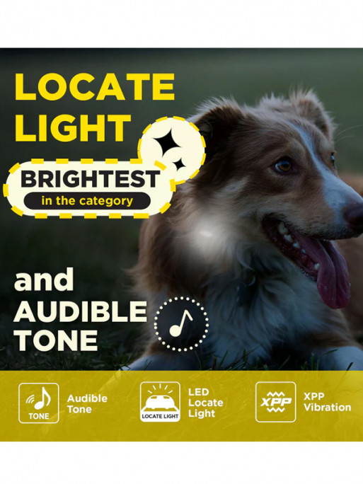 Pack de dressage 2 chiens 600iQ Dogtra