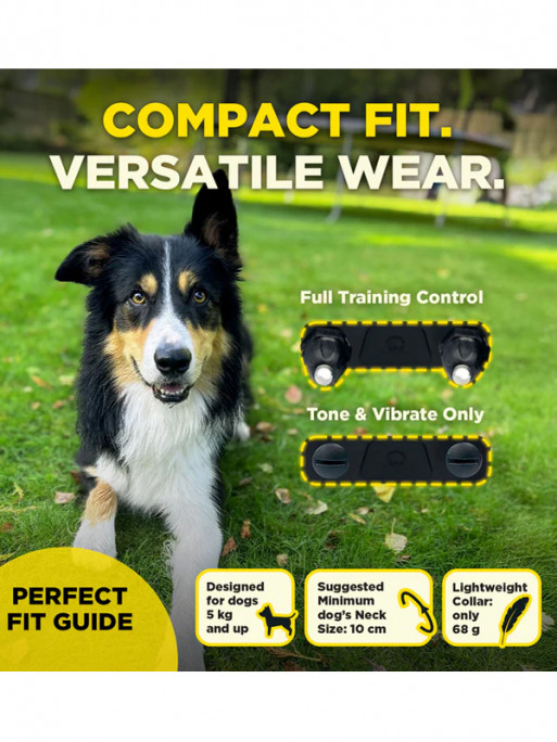 Pack de dressage 2 chiens 600iQ Dogtra