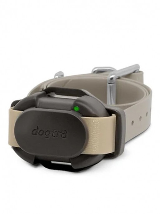 Collier supplémentaire de dressage iQ Flex Dogtra