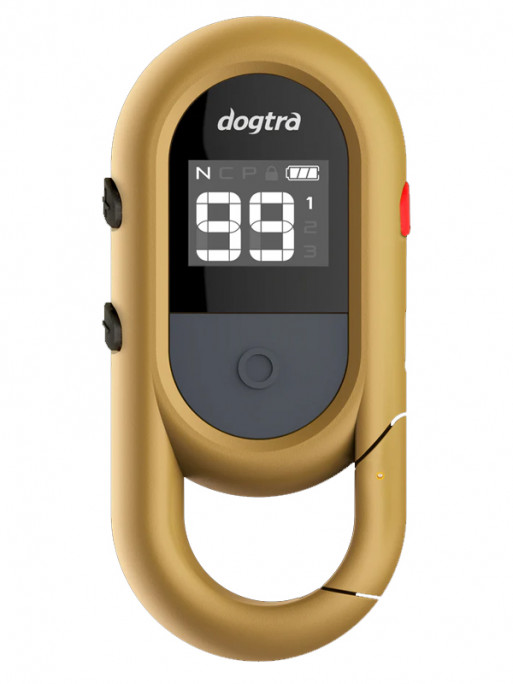 Emetteur pour iQ Flex Dogtra