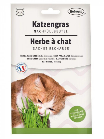 Herbe à chat à brocher 100g Bubimex