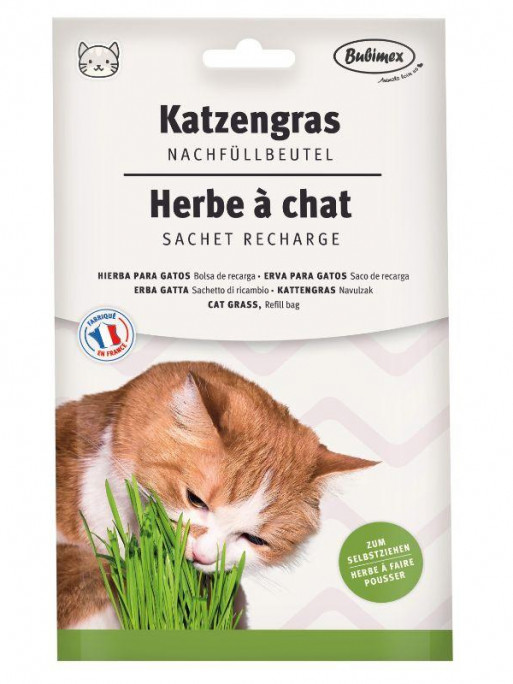 Herbe à chat à brocher 100g Bubimex