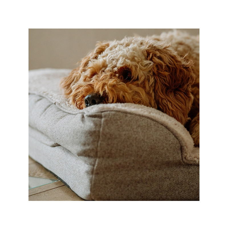 Panier Comfort orthopédique Calbu Nobby