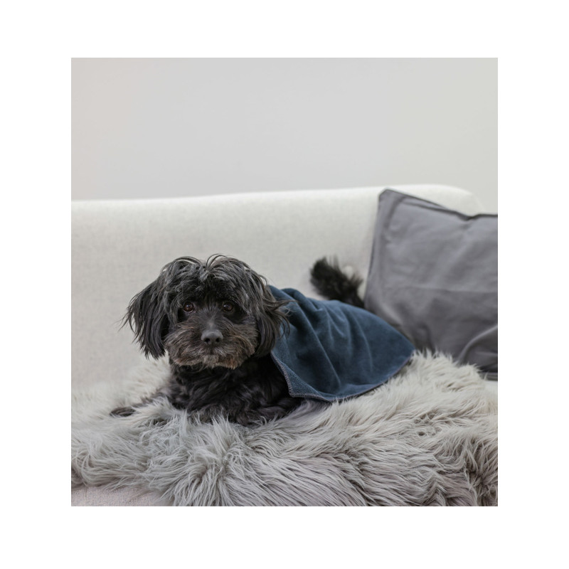 Serviette pour chien 50x60cm Kerbl