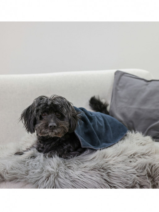 Serviette pour chien 50x60cm Kerbl