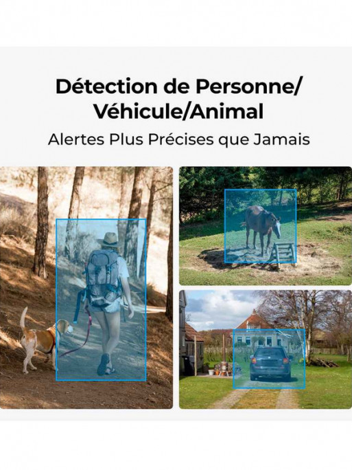 Caméra sans fil avec panneau solaire GO G330 4G Reolink