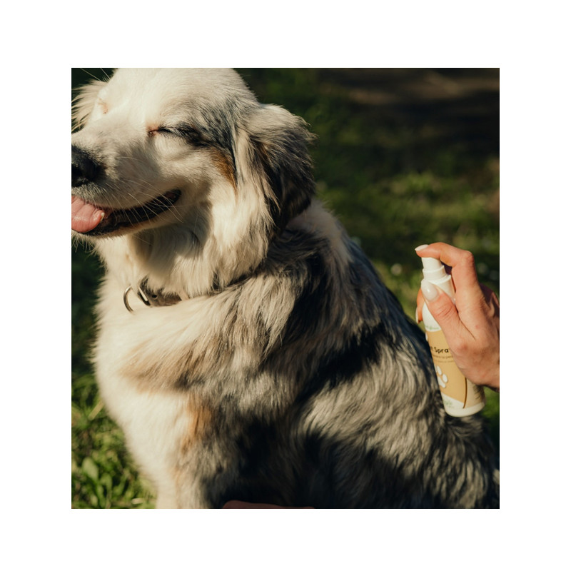 Spray assainissant Cicanat 60ml Nutragile