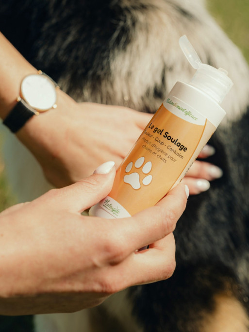 Gel Soulage 125ml Nutragile