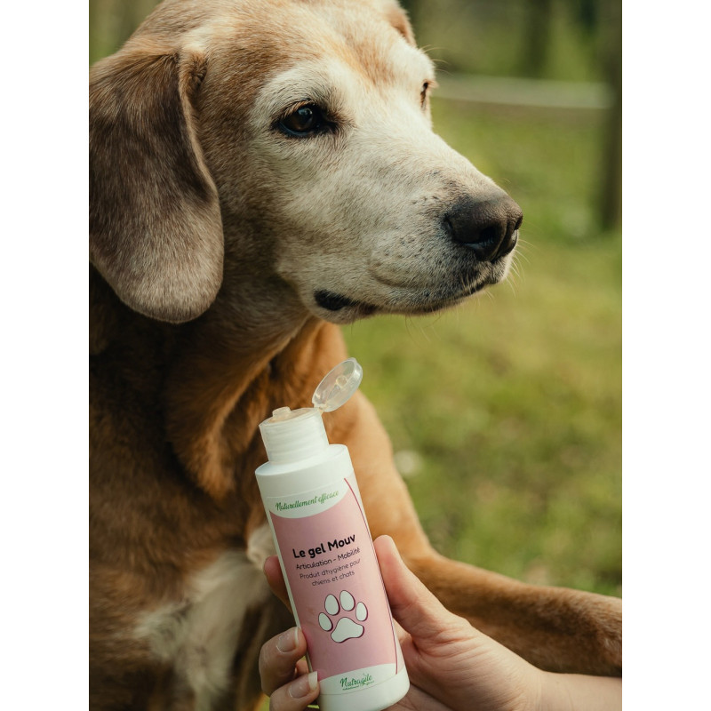 Gel Mouv 125ml Nutragile