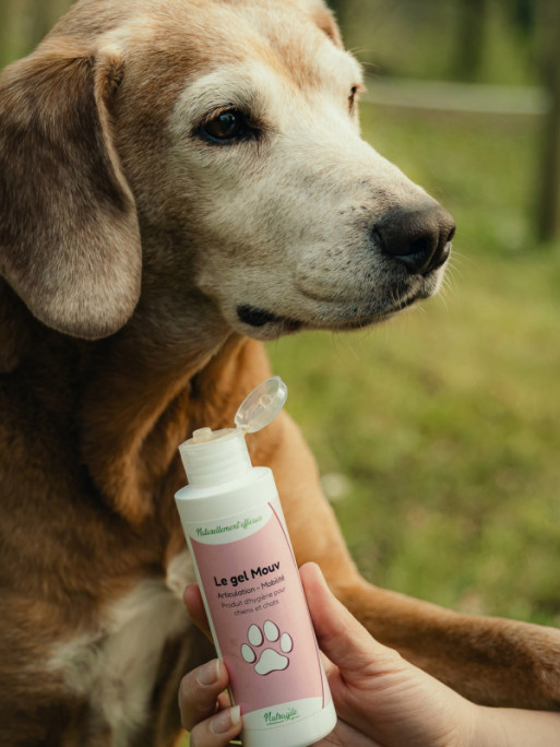 Gel Mouv 125ml Nutragile