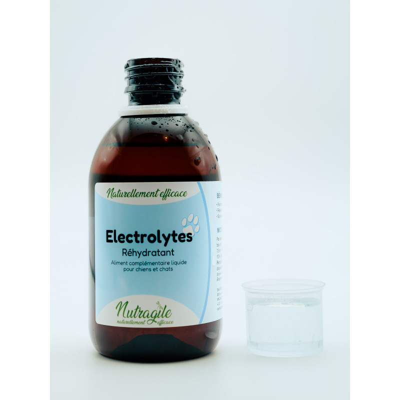 Solution réhydratante Electrolytes 250ml Nutragile