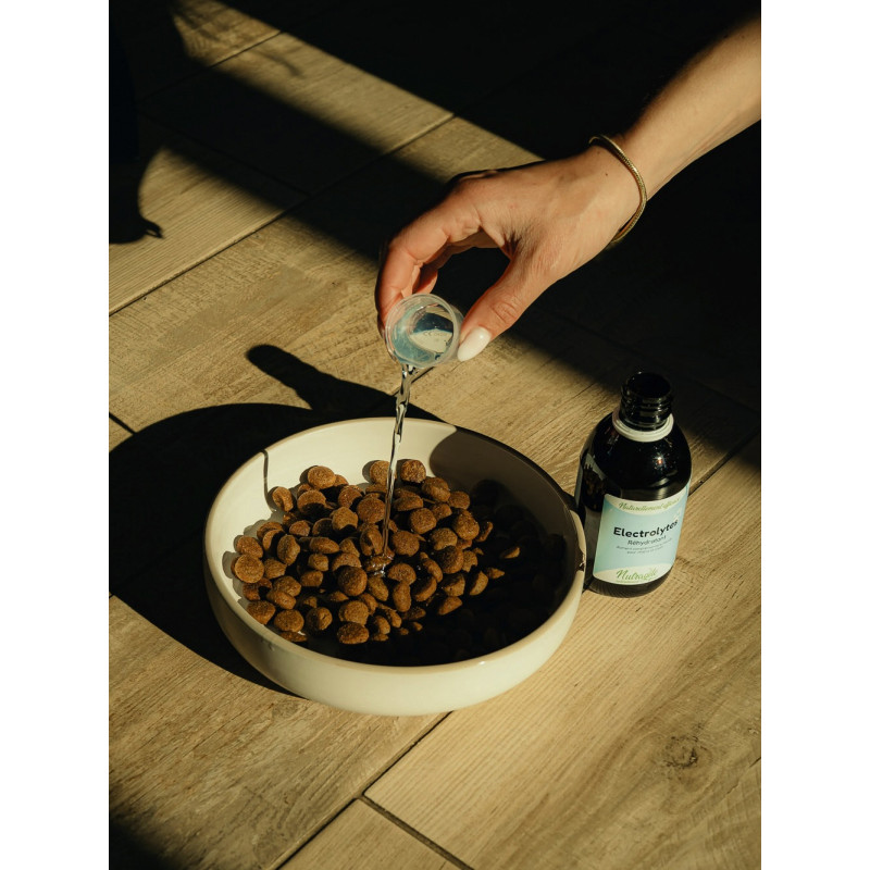 Solution réhydratante Electrolytes 250ml Nutragile