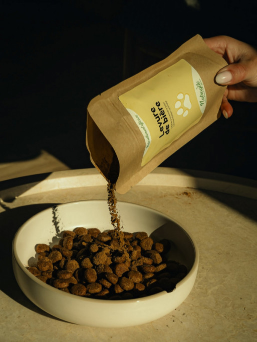 Levure de bière 250g Nutragile