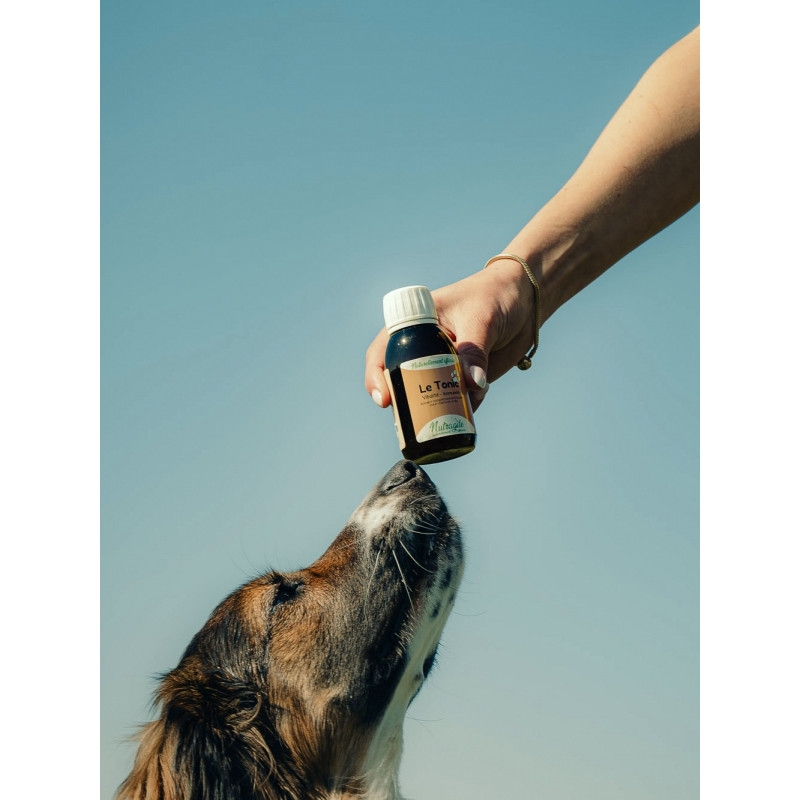 Solution Tonic 125ml Nutragile