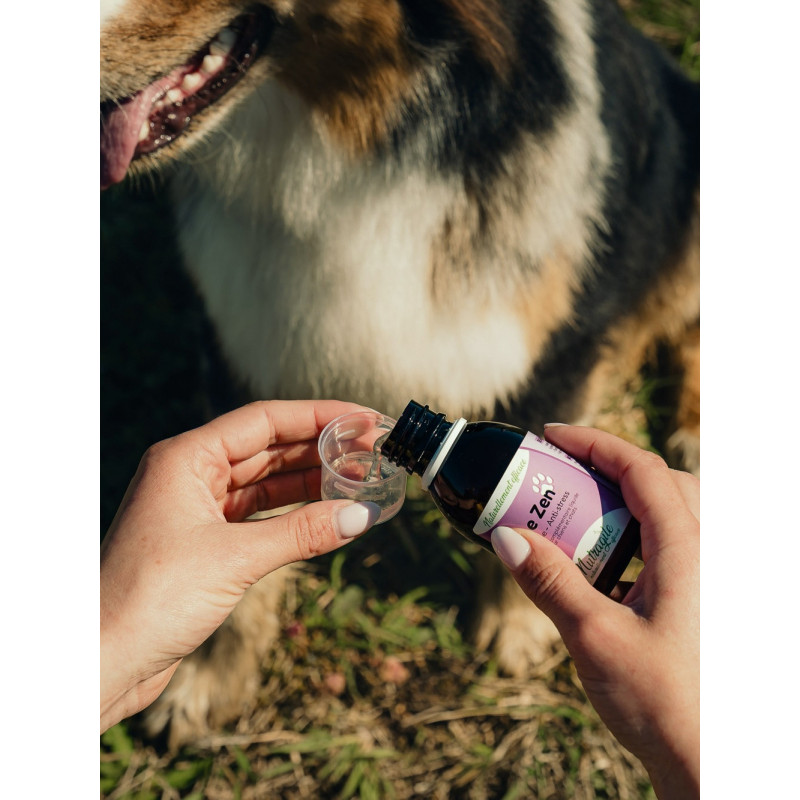 Solution Zen 125ml Nutragile