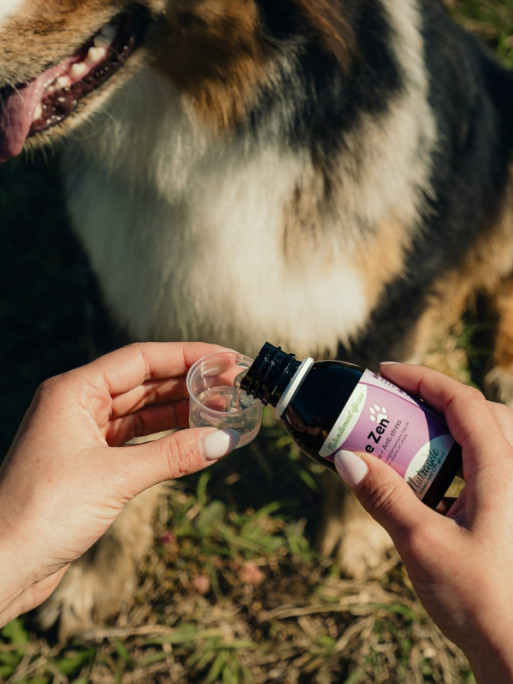 Solution Zen 125ml Nutragile