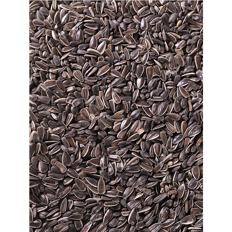 Graines de tournesol Mix 12kg Emma's Garden