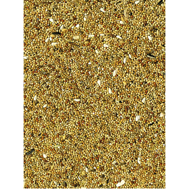 Mélange de graines Basic grandes perruches 20kg Vadigran